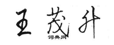 骆恒光王茂升行书个性签名怎么写