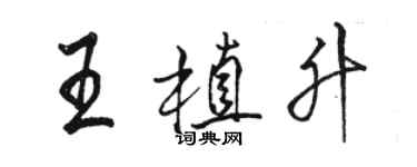 骆恒光王植升行书个性签名怎么写