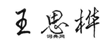 骆恒光王思桦行书个性签名怎么写