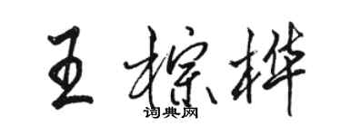 骆恒光王棕桦行书个性签名怎么写