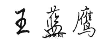 骆恒光王蓝鹰行书个性签名怎么写