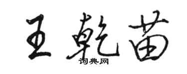 骆恒光王乾苗行书个性签名怎么写