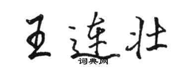 骆恒光王连壮行书个性签名怎么写