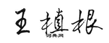 骆恒光王植根行书个性签名怎么写