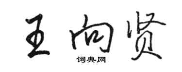 骆恒光王向贤行书个性签名怎么写