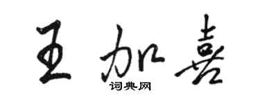 骆恒光王加喜行书个性签名怎么写