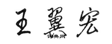 骆恒光王翼宏行书个性签名怎么写