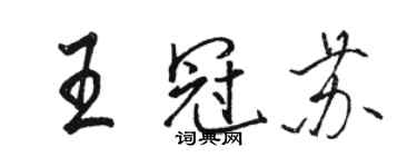 骆恒光王冠苏行书个性签名怎么写