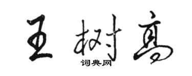 骆恒光王树高行书个性签名怎么写