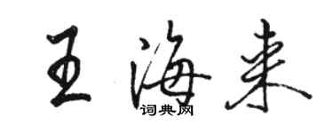 骆恒光王海来行书个性签名怎么写