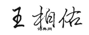 骆恒光王柏佑行书个性签名怎么写