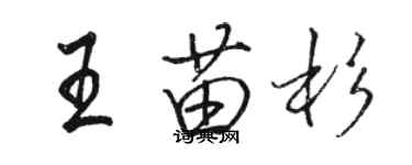 骆恒光王苗杉行书个性签名怎么写
