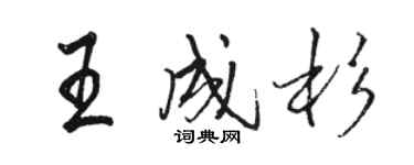骆恒光王成杉行书个性签名怎么写