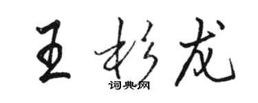 骆恒光王杉龙行书个性签名怎么写