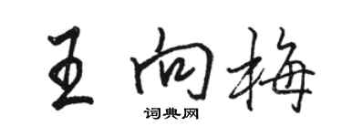 骆恒光王向梅行书个性签名怎么写