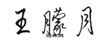 骆恒光王朦月行书个性签名怎么写