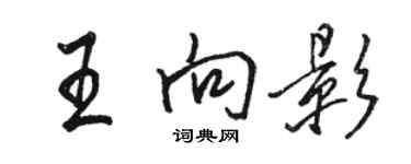骆恒光王向影行书个性签名怎么写