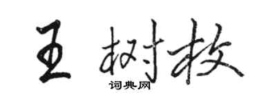 骆恒光王树枚行书个性签名怎么写