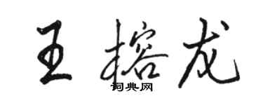 骆恒光王榕龙行书个性签名怎么写