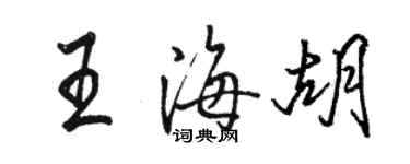 骆恒光王海胡行书个性签名怎么写