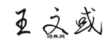 骆恒光王文或行书个性签名怎么写