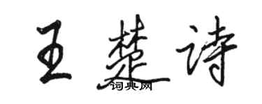 骆恒光王楚诗行书个性签名怎么写