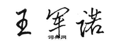 骆恒光王军诺行书个性签名怎么写