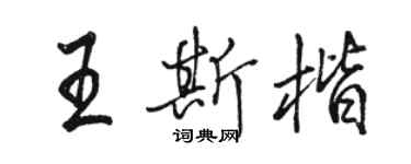 骆恒光王斯楷行书个性签名怎么写
