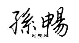 王正良孙畅行书个性签名怎么写