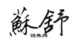 王正良苏舒行书个性签名怎么写