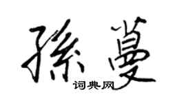 王正良孙蔓行书个性签名怎么写