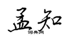 王正良孟知行书个性签名怎么写