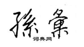 王正良孙汇行书个性签名怎么写