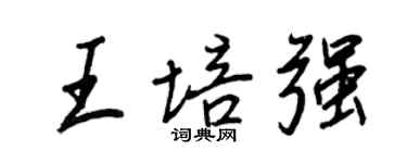 王正良王培强行书个性签名怎么写