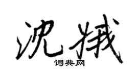 王正良沈娥行书个性签名怎么写