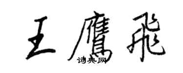 王正良王鹰飞行书个性签名怎么写