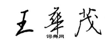 王正良王华茂行书个性签名怎么写