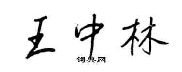 王正良王中林行书个性签名怎么写