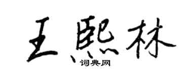 王正良王熙林行书个性签名怎么写