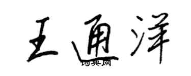 王正良王通洋行书个性签名怎么写