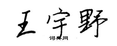 王正良王宇野行书个性签名怎么写