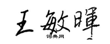 王正良王敏晖行书个性签名怎么写