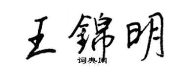 王正良王锦明行书个性签名怎么写