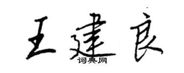 王正良王建良行书个性签名怎么写