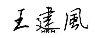 王正良王建风行书个性签名怎么写
