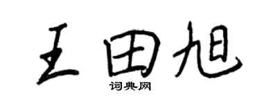 王正良王田旭行书个性签名怎么写