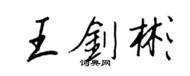 王正良王剑彬行书个性签名怎么写
