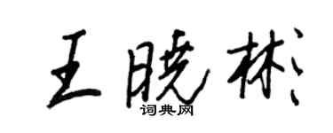 王正良王晓彬行书个性签名怎么写