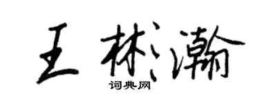 王正良王彬瀚行书个性签名怎么写