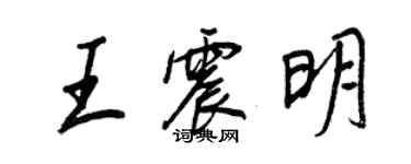 王正良王震明行书个性签名怎么写